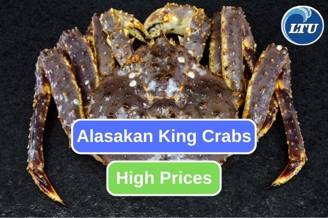 Unveiling the Factors Behind Alaskan King Crab's Steep Cost